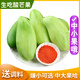 粵品廣西酸嘢生青芒果2025新鮮大小四季酸芒果生吃水果非象牙芒 生芒果5斤凈重