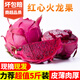 甜果源 廣西紅心火龍果  紅肉金都一號新鮮當(dāng)季水果大果整箱批發(fā)包郵 凈重4.5-5斤【80%人選擇】 單果300-400g【80%人選擇】