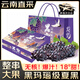 靜羽云南夏黑藍莓葡萄【順豐】無籽提子新鮮現(xiàn)摘大顆粒孕婦時令水果 夏黑葡萄5斤【6A+果手提禮盒】 源頭直發(fā)