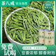 茶八戒采摘鮮爽明前龍井茶新茶茶嫩芽耐泡豆香濃郁高山龍井綠茶罐裝 1罐100g【優(yōu)惠裝】