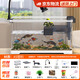 寵小島混養(yǎng)缸魚缸烏龜缸飼養(yǎng)缸魚龜混養(yǎng)生態(tài)一體缸過濾制氧懶人新手魚缸 京倉發(fā)貨【奢華款】白色+燈+過濾+造景+抽水 中號(38.8x21.5x21.2cm)