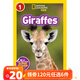 120元6件【一階段】美國國家地理兒童英語(yǔ)分級閱讀物 National Geographic Kids Readers Level 1 初階低幼兒動(dòng)物小百科啟蒙繪本英文原版繪本 一階：長(cháng)頸鹿