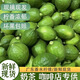 廣東香水檸檬二級(jí)果奶茶店專用果園直發(fā)正宗無籽香水檸檬新鮮現(xiàn)摘 16斤 廣東香水二級(jí)果