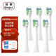 清奢適用博皓prooral電動牙刷頭RST2081  T33 T31 T09替換頭金屬軸通用JX小白ET101 6支 白色標準款