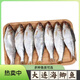 茗老漢大連新鮮海鯽魚(yú) 刺魚(yú) 瓷魚(yú) 令吉魚(yú) 鯪鯽魚(yú) 氣泡魚(yú)香煎油炸速凍發(fā) 4斤一斤11條左右