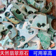 天然緬甸翡翠玉原石邊角料片料毛料半明料刀下料練手魚缸料 翡翠玉練手料約500G隨機發(fā)貨