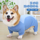 寵物狗狗衣服夏天防曬防臟四腳衣柯基泰迪比熊小型犬中型犬護肚衣 天藍色四腳防曬衣 3XL【建議26-32斤】