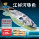 中洋魚天下 (ZHONGYANG GLOBAL FISH) 河豚魚150g*5袋 全程可追溯 30年養(yǎng)殖技術 源頭直發(fā) 包郵