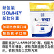 YAMAMOTO意大利原裝進(jìn)口 YAMAMOTO 乳清蛋白粉 2公斤 袋裝分離加勒比口味ISOWHEY