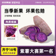 青饞貓湖南齊寧18號紫薯新鮮小紫薯嬰兒輔食營養(yǎng)減肥早餐沙地番薯 凈重4.5-5斤【4-6兩】