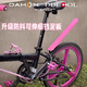 DAHON大行DDL折疊自行車擋泥板公路車伸縮式擋水板山地車超輕騎行裝備 大行雙品牌擋泥板（芭比粉）