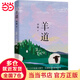 【當當 正版包郵】我的阿勒泰 李娟作品集 阿勒泰的角落 羊道·前山夏牧場(chǎng)