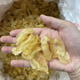 內(nèi)廷上用原料珍珠膠小黃花膠魚膠干貨正宗深海魚鰾足干老膠 大號精選-珍珠膠50克