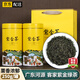 碧幽四方廣東河源龍窩紫金蟬茶綠茶 新茶高山云霧綠茶客家茶明前蟲(chóng)咬茶葉 250g*2罐 【河源紫金蟬茶】 客家蟲(chóng)咬蟬茶