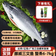 嘗鮮生 冰鮮挪威三文魚整條（大西洋鮭）10-12斤刺身/整條三文魚 冰鮮整條凈重 6kg -7kg分切請(qǐng)留言
