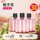 億拉福車(chē)載香薰汽車(chē)香水車(chē)內除味除臭香氛機霧化智能?chē)婌F梔子補充液3瓶