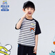 男生女生23170男小童短袖兒童夏季條紋撞色休閑吸汗透氣T恤NJTCJ23170A 黑色 105 cm