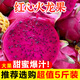 果燃彬彬正宗海南金都一號(hào)紅心火龍果2/5斤整箱批發(fā)大果新鮮當(dāng)季紅肉密寶 【大果】單果約6-8兩 凈果5斤