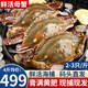 【鮮活發(fā)貨】梭子蟹  鮮活海捕大螃蟹生鮮水產(chǎn)飛蟹白蟹[公母混發(fā)] 【全母蟹】梭子蟹4斤【8-12只