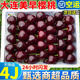 現(xiàn)貨速發(fā)美早大櫻桃新鮮車?yán)遄赢?dāng)季高端特大連山東整箱孕婦禮盒 2500克(凈重)  超大果 JJ 28-30mm