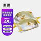 鮮馳新貨金鯧魚(yú)新鮮鏡魚(yú)海魚(yú)鯧魚(yú)金昌魚(yú)湛江海鮮水產(chǎn)鮮活冷凍包郵 200-300g凈重/條 4條裝