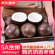 優(yōu)味集海南黑椰皇椰子蛋【JD順豐速發(fā)】孕婦補(bǔ)羊水果奶香老椰汁青肉 1粒裝(小試嘗鮮裝) 商超A+級(jí)大果800g+