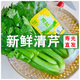 【輕食鮮蔬】水果清芹榨汁西芹荷蘭芹菜生吃沙拉涼拌蔬菜香芹新鮮 清芹*3包