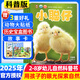 小聰仔科普版雜志2025年1-12月【全年/半年訂閱/2024/2023年1-12月/幼兒版啟蒙版可選】0-4-8歲嬰兒幼兒興趣智力培養(yǎng)兒童科普畫報(bào)非過刊K 【全年訂閱送禮品】科普版25年1-12月