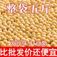 黃豆10斤大袋批發(fā)2024年新黃豆發(fā)豆芽的黃豆散裝發(fā)黃豆芽專(zhuān)用豆黑 高質(zhì)量黃豆(5斤)精選中大顆粒 黑龍江