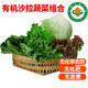 【順豐】有機蔬菜沙拉組合 健康輕食沙拉生菜 無農(nóng)殘有機蔬菜 3斤 精選