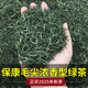 萬茗千襄綠茶2025年新茶葉?？得獠韬毕尻柛呱皆旗F茶濃香型耐泡口糧茶 ?？得獍虢镅b(250g*1袋)
