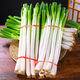 京詩(shī)悅山東大蔥新鮮蔬菜脆甜辣精品鐵桿大蔥特產(chǎn)當季整箱優(yōu)質(zhì)食材10斤裝 精選裝 3斤