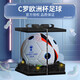 RONALDOC羅歐洲杯足球2024正品質(zhì)真皮比賽紀念款兒童5號成人學(xué)生中考足球 2024C羅歐洲杯【透明禮盒裝】 無(wú)規格