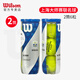 威爾勝（Wilson）網(wǎng)球訓練球美網(wǎng)上海大師賽法網(wǎng)專(zhuān)業(yè)比賽罐裝袋裝網(wǎng)球自己打網(wǎng)球 2筒 上海大師賽聯(lián)名球 WR820880