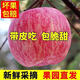 正宗富士蘋(píng)果紅富士新鮮水果冰糖心蘋(píng)果整箱批發(fā) 帶箱9-10斤【大果】