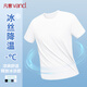 凡客誠品 VANCL冰絲速干T恤男士夏季新款冰感網(wǎng)眼透氣男款跑步運動戶外大碼短袖 白#純色 2XL