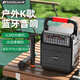 山水（SANSUI）SS20無(wú)線(xiàn)藍牙音響手提便攜家用戶(hù)外K歌演出廣場(chǎng)舞音箱大功率重低音大音量唱歌聲卡播放器  頂配版 雙支動(dòng)圈無(wú)線(xiàn)話(huà)筒