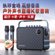 山水U12便攜式手提k歌音響移動(dòng)帶戶外大功率一體KTV廣場(chǎng)舞音響小型直播音箱無(wú)線話筒 U12黑色【便攜K歌+雙U段話筒】