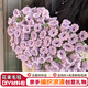 趣木也手工毛線diy玫瑰花束毯子材料包手工編織鈴蘭花朵生日禮物送女友 紫鈴蘭花材料包【做70cm左右】