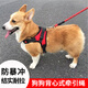 狗狗牽引繩背心式遛狗繩子泰迪柯基狗繩中小型犬寵物胸背帶狗脖圈 紅色【胸背帶+1.5米反光繩】 S碼：適合【10-18斤】