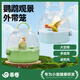 乖卷鸚鵡外帶籠玄風(fēng)虎皮背帶手提便攜遛鳥籠大空間透明鳥籠 悠悠藍(lán)