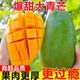 正宗越南大青芒新鮮水果10斤特大芒果鮮甜多汁應(yīng)季孕婦即食青芒果 5斤裝(約4-6個(gè)/單果400g+)