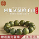 吉千年 綠檀手串 復(fù)古綠檀木佛珠手串 綠檀手串檀木文玩 蛇年情人節(jié)禮物 【沉水級】老綠檀18mm*13顆