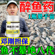 醉魚藥特效暈魚水庫江河醉魚不傷魚魚用麻醉專用缺氧封氧劑醉魚靈 1瓶裝【體驗裝】