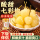 灣琴河 酸甜七彩泡椒500g 廣西特產(chǎn)五彩泡椒圓椒燈籠椒農(nóng)家小米辣下飯菜