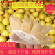 新鮮現貨廣西特產(chǎn)正宗容縣沙田柚柚子應季水果純甜水分好純甜不酸 容縣沙田柚 18斤