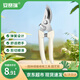 安賽瑞 修枝剪刀果樹剪園藝剪 盆栽剪花卉工具園林綠植剪刀花藝 5J00326