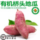 諸氏橙品【有機(jī)】地瓜 海南橋頭地瓜紅薯 新鮮現(xiàn)挖沙地烤地瓜 根莖類蔬菜 5斤精選禮盒-送禮， 單果100-300g