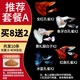 勝畫大型孔雀魚活魚苗觀賞魚熱帶魚活體魚淡水好養(yǎng)耐活精品純種鳳尾魚 【推薦套餐A】精品孔雀魚 8送2