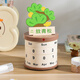 斐月伽轉(zhuǎn)輪萬(wàn)年歷放輕松創(chuàng)意臺(tái)歷diy小擺件辦公室高考日歷畢業(yè)老師禮物 盆栽萬(wàn)年歷 放青松